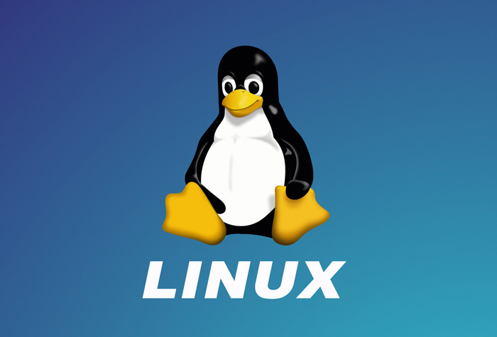 Linux image что это